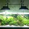 This led unit is the perfect choice for you if you want a good quality starter led lighting option that's excellent value for money and will provide sufficient light for most beginner aquatic plant species. 1