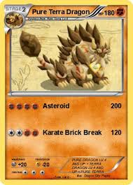 In getting a pure fire dragon, you must follow this formula (not tested if it actually works): Pokemon Pure Terra Dragon