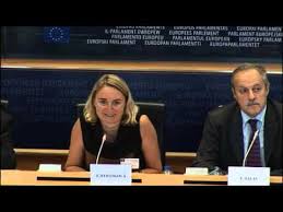 Jana hybaskova in discussion with helené bam before a live interview. Ambassador Jana Hybaskova Speech At The European Parliament Youtube