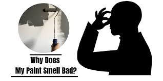 One said his room smelt like a dead soggy mouse while another said their bedroom was practically uninhabitable. Why Does My Paint Smell Like Rotten Eggs