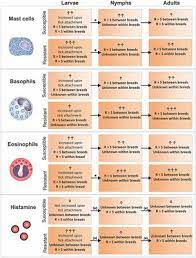 Pt gobras / pt gobras tsik mlaya : Frontiers Bovine Immune Factors Underlying Tick Resistance Integration And Future Directions Cellular And Infection Microbiology