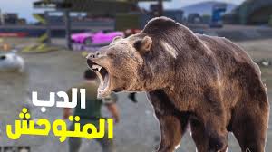 البوت الغني معا الدب المتوحش 🐻😱 هامجني بحسابه في أكثر من 500 مثك وصدمته  بل نهاية🔥😎 - YouTube