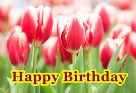 Maybe you would like to learn more about one of these? 45 The Best Collection Happy Birthday Flowers Explorepic