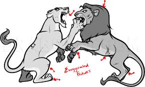 That gorilla will be a dead ape, quick. How To Draw Fighting Lions Draw Fighting Animals Step By Step Drawing Guide By Dawn Dragoart Com