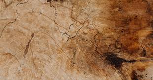 A seat at the table, un tavolo in legno di quercia rossa, acero o ciliegio