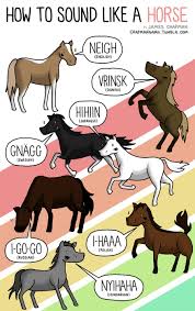 How Do Animals Sound In Different Languages Animal Sounds Funny Horses Horses