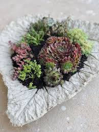 Beton Deko Draussen Herrliche Bastelideen Zum Nachmachen In 2020 Pflanzschale Garten Beton Pflanzen