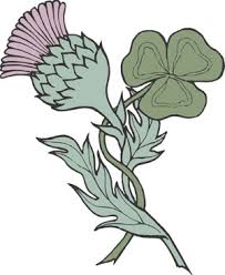 Lucky family celtic tattoo design. Scotish Thistle And Irish Trefoil Best Tattoo Ideas Gallery