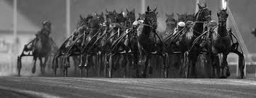 Le parcours, à vincennes, corde à gauche ou encore avec leur driver : Trotting Preview 2019 Prix D Amerique