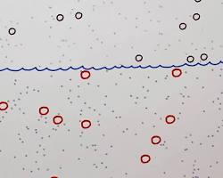 Image of Einstein's theory of Brownian motion