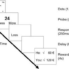 Can you meet her at the restaurant 4. Pdf Social Comparison Affects Reward Related Brain Activity In The Human Ventral Striatum