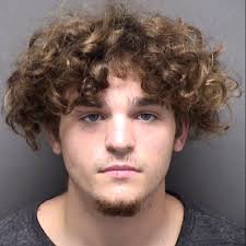 Police say teenager was 'smiling' as he attempted to run over officer