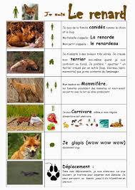 Les Animaux De La Foret Animaux Foret Documentaire Animaux Animaux