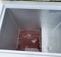 I unplugged my deep freezer and forgot about it.. : r ...