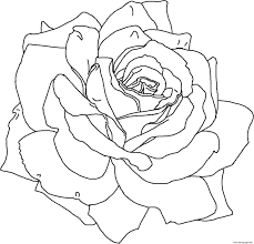 Create your own flower and roses coloring pages release your inner artist and share your artworks to your family and friends. Rose Flower Cute Coloring Pages Printable