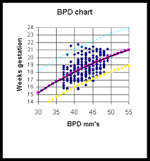 back to the future for hermanni boerhaave or a rational