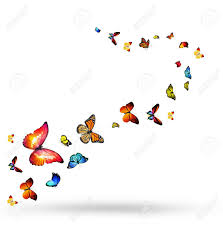 This stock motion graphics video shows flock butterflies flying on a transparent background. Flock Of Butterflies Stock Photo Picture And Royalty Free Image Image 34297549