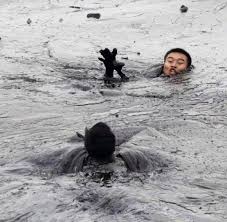 Olkatastrophe China Kampft Gegen Die Schwarze Pest Bilder Fotos Welt