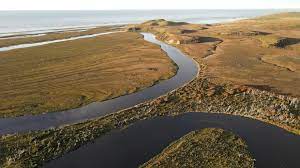 images?q=tbn:ANd9GcSfOAqoVV9S2OHj9Ftz6qs-8Zh_Ks8mMbpmpeVcwqEh2OktXAKGTBY-q-DxnWkUhoi1yH0&usqp=CAU