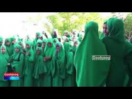 Видео somali siigo канала bashaal 000. Somali Siil Ad U Macaan