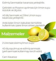 Limon Sarimsak Kuru Nasil Yapilir Faydalari Ve Yan Etkileri Nelerdir Saglikli Gidalar Saglikli Tarifler Saglikli