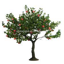 4k00:09water apple tree with fruits wrapped in plastic bags on branches during daytime on agricultural farm. Cheap Artificial Apple Tree Plastic Recycling Plant Decorative Large Foliage Plants Buy Plastic Recycling Plant Artificial Apple Cheap Artificial Apple Tree Decorative Foliage Plants Product On Alibaba Com