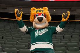 Collect them, hang out with them, give them. Which Nhl Mascot Would You Want With You In A Bar Fight Page 11