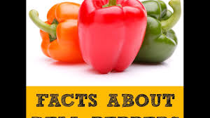 The difference between male and female cockatiels is that underneath the tail of the female there are dark markings like stripes, while in males this area has one solid color. Do You Know If Your Bell Peppers Are Male Or Female Youtube