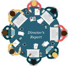 Director S Report Rikvin Pte Ltd