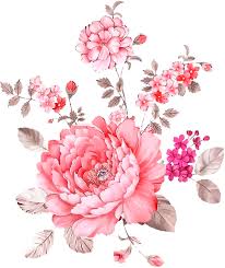 Pink Flowers Transparency Overlay For Personal Use Flower Art Flower Painting Digital Flowers