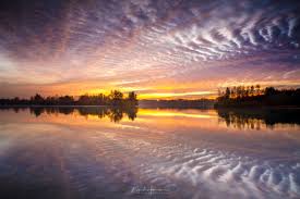 Image result for reflection