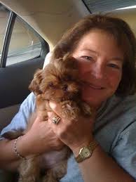 Carolina Shih Tzu : Testimonials