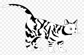 Cat clipart black and white. Tiger Cat Black White Line Art Coloring Sheet Colouring Clip Art Free Transparent Png Clipart Images Download