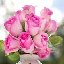 Flowers are us proudly serves monmouth and the surrounding areas. Ruth Hawk Obituary 1923 2019 Monmouth Illinois
