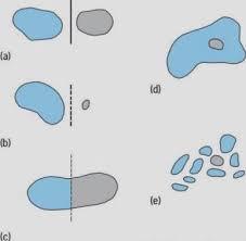Speciation Accessscience From Mcgraw Hill Education