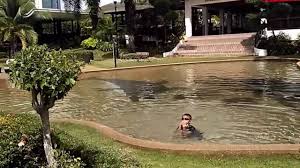 The elegant chalets at cyberview resort come with hardwood floor… Cyberview Resort Spa Swimming Pool Youtube
