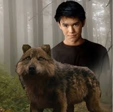 Twilight, The Twilight Saga: Breaking Dawn - Part 1, Seth Clearwater, Leah  Clearwater, Hd Wallpaper | Peakpx
