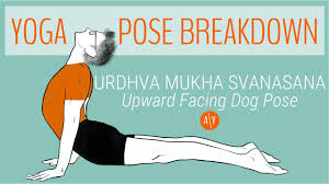 Some medical problems, like injuries, can affect both nerves themselves and other tissues, causing both kinds of pain. Urdhva Mukha Svanasana Benefits Yoga Pose Tutorial Adventure Yoga Online