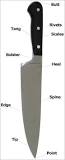 Identify the Parts of Your Knife — Sharpening Supplies