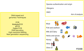 Hong kong exported us$535.7 billion worth of goods around the globe in 2019. Omics Based Technologies For Food Authentication And Traceability Sciencedirect