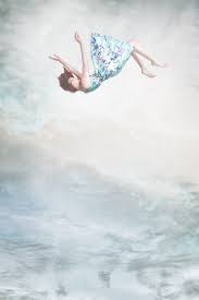 Falling (provoost novel), a 1994 novel by anne provoost. Personal Photography Falling