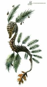 Cavalluccio Creature Mitologiche Creature Magiche Illustrazione Animali