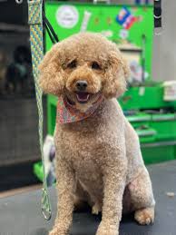 Kolby'z Klipz North added a new photo.