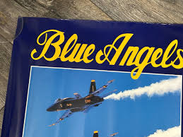 Image result for Flight Blue 1990 US Government