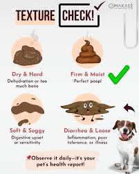 Image result for blood in stool human poop