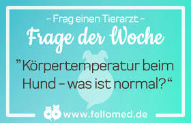 Die optimalen raumtemperaturen und pflichten des vermieters. Korpertemperatur Hund Was Ist Normal Fellomed