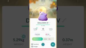 Any help is very appreciated link to post share on other sites. Ditto Perfect Iv Pokemon Go Youtube