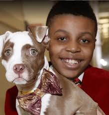 12-year-old boy creates custom bowties to help homeless dogs and cats get  adopted