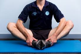What is a groin pull? Groin Stretch Physio Pro
