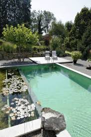 Naturliche Schwimmbader Pool Poolideen Homedecor Gartendeko Gartenpool A Mini In 2020 Natural Swimming Pools Swimming Pools Backyard Natural Swimming Pool